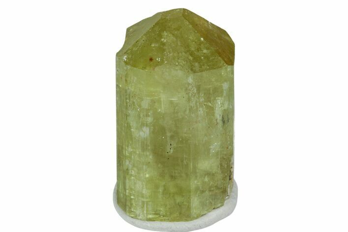 Gemmy, Yellow Apatite Crystal - Morocco #239135